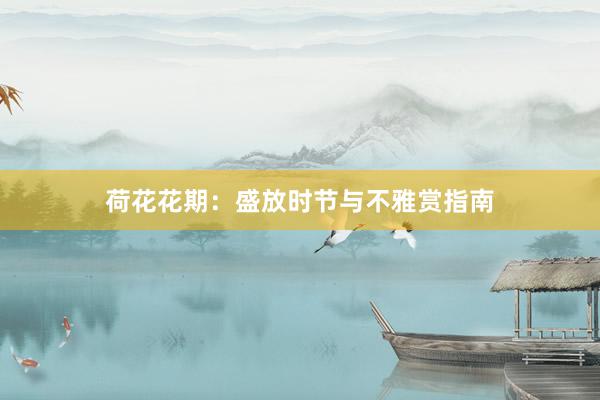 荷花花期：盛放时节与不雅赏指南